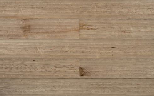 Piallato Murano H073 Maple tree