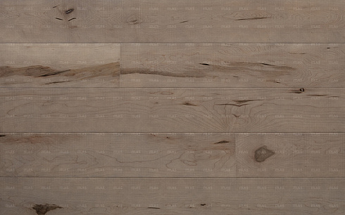 Polar H015 Maple tree