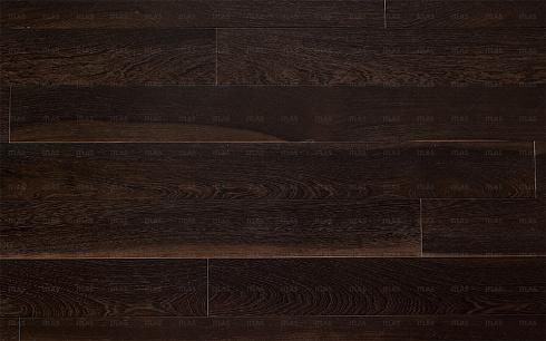 Accadueo Y011 Wengè