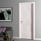 Межкомнатные AIP Porte Sintesi MD24
